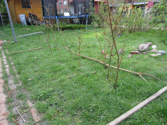 Ein Kindergarten braucht Baumaterial für kreative Spiele: hier Äste und Steine