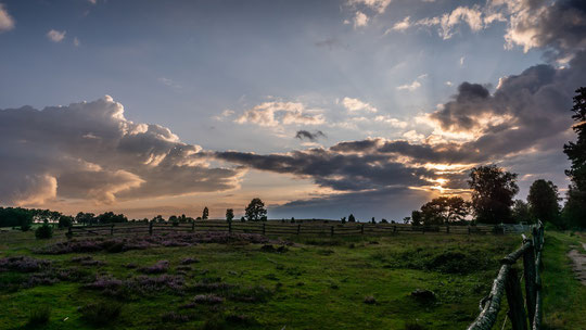 Die Heideschleife Radenbachtal - © Lüneburger Heide GmbH