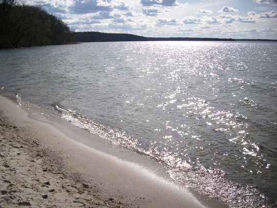 Der Plauer See von der Lenzer Seite (Foto von mir, Diana-Dana Möller).