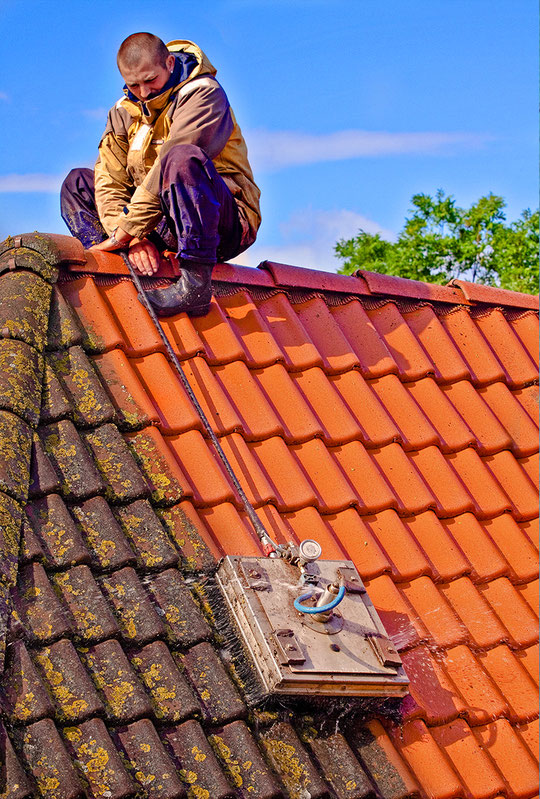 Dachreinigung 2.0 dachschulzs seite!