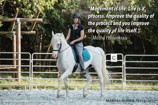 "Movement is life. Life is a process. Improve the quality of the process and you improve the quality of life itself." ~ Moshe Feldenkrais