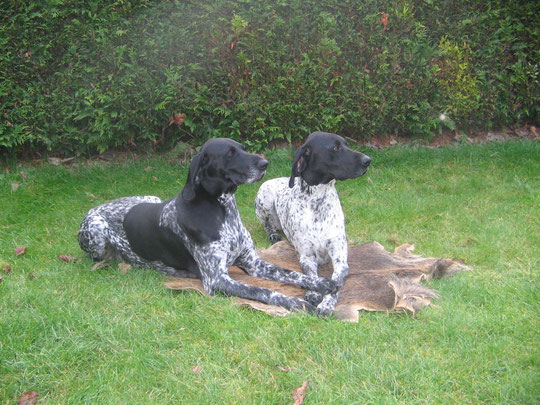 Wanda & Xena von der Münzenburg