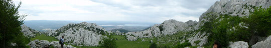 an der Sterbestelle Blick in Richtung große Wiese