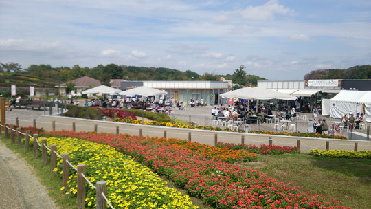 奈良県の公園