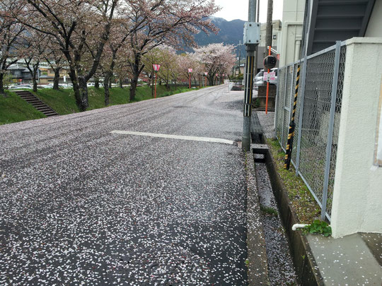 奈良県御所市の道