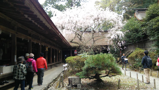 奈良県吉野の御寺