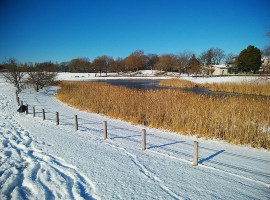 3　雪景色の池