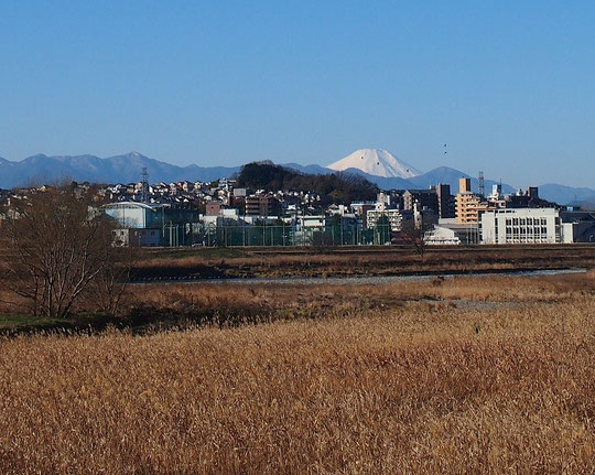 １月１２日(2015)　街の向うの富士と山並み：府中多摩川かぜの道から聖蹟桜ヶ丘の町を見た景色です