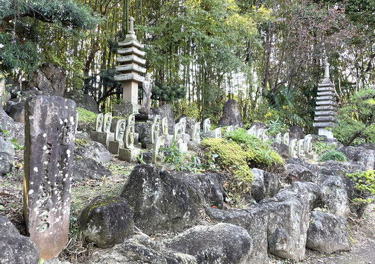 11月19日（2024）逃げ水の里 三十三観音：小平市の小川寺（しょうせんじ）にて。この辺りは、江戸時代に玉川上水とその分水が出来るまで、水に恵まれず「逃げ水の里」と呼ばれていた