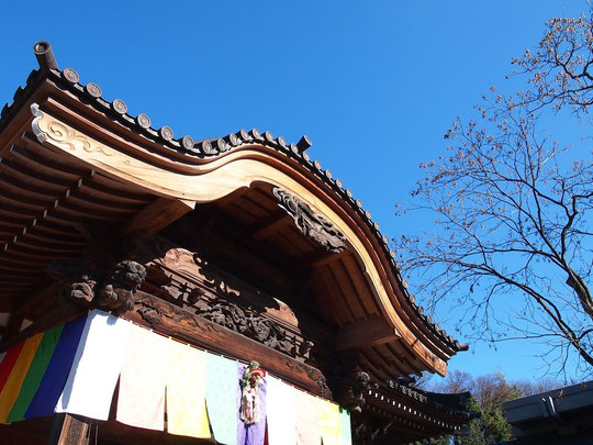 ●お正月飾りをした深大寺本堂とムクロジの木（調布市）