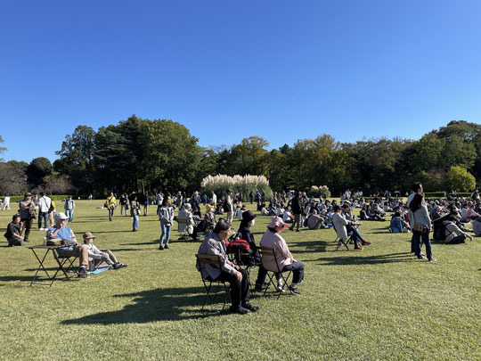 10月22日（2023）　パンパスグラスと群衆：日曜日の神代植物公園。バラコンサートの聴衆の向こうに巨大なパンパスグラスが見えます。パンパスグラスは南米が原産のイネ科の植物。です。人の２倍ほどの背丈ですね　
