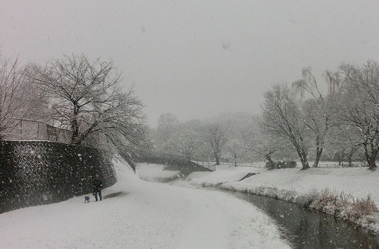 2013年１月１４日　雪が降りつもる野川遊歩道