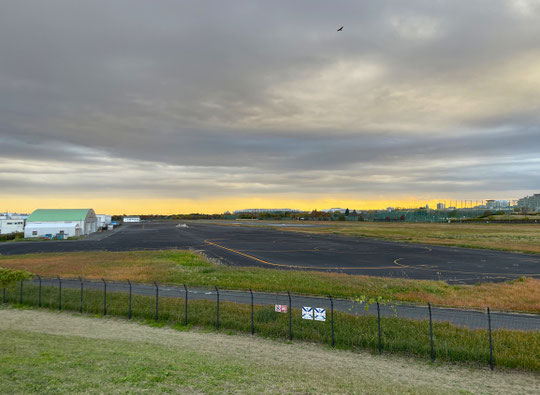 11月18日（2025）　夕暮れの調布飛行場：武蔵野の森公園の展望の丘から。南の方向の地平線近くがオレンジ色の帯になっていました。上空には鷹のような鳥影が。