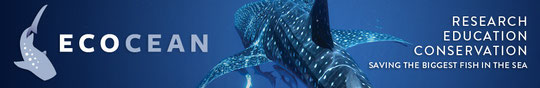 Whale Shark Identification and tracking