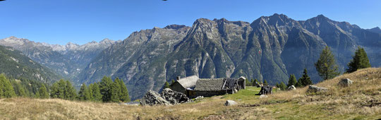 Alpe Spotigine