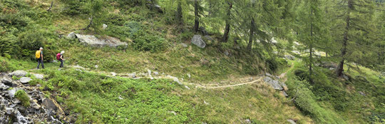 Verso l'Alpe Oriaccia