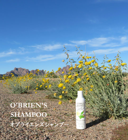 O'BRIEN'S SHAMPOO　オブライエンズシャンプー