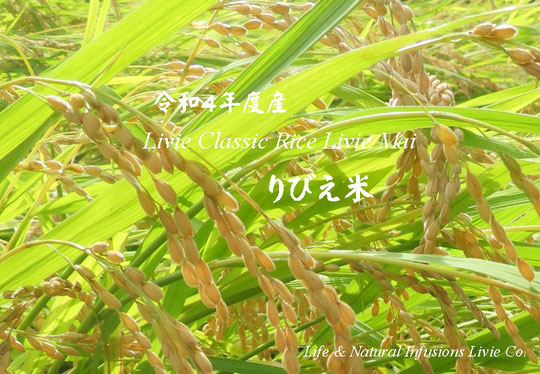 Livie Classic Rice Livie Mai 令和4年度産 りびえ米