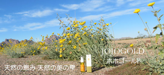 Jojoba Oil — Pure, Thoughtfully Cultivated A natural oil that works in harmony with the skin, supporting its balance, softness, and quiet radiance.