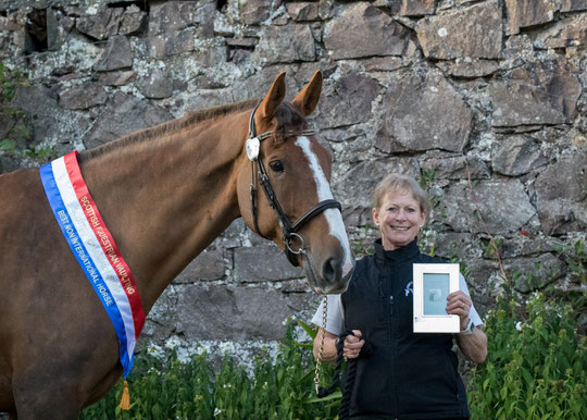 Best Non-International Horse at Scottish Championship 2021 - Omeath Clover