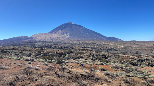 Verslag Tenerife 2025