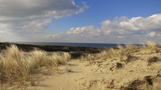 Nordic Walking achter de duinen