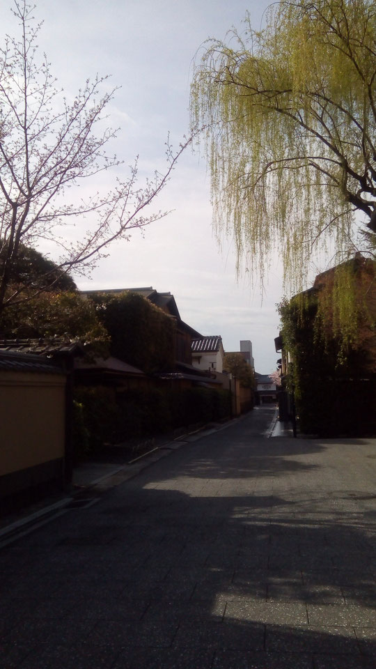 茶坊主の小川町通り