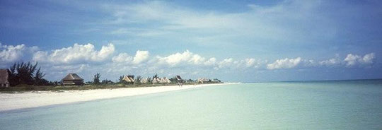 A borrowed picture of the beach in Holbox