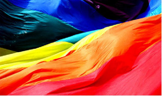 2014 - Rainbow Flag de Gilbert Baker - Cliquez sur l'image