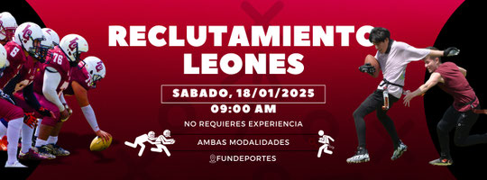 Página web de leonesaf