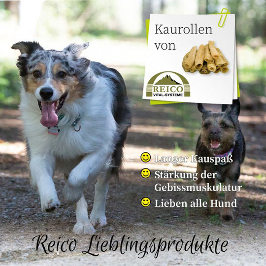 Kaurollen sind Einzelfuttermittel aus natürlichem Trockenfleisch