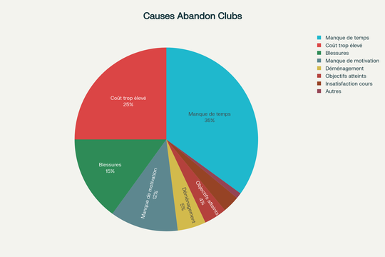 Répartition des causes d'abandon en arts martiaux - Le manque de temps domine à 35%