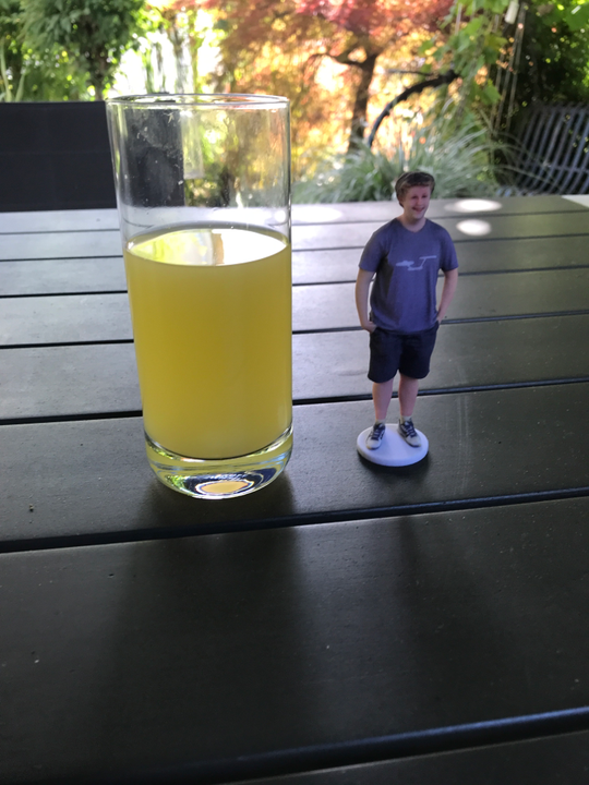 Severin Kämpfer als 3D Modell | Print by: PocketMe | Zwischen den Armen gab es einen kleinen Scanfehler aufgrund von einer Bewegung | 3D Druck