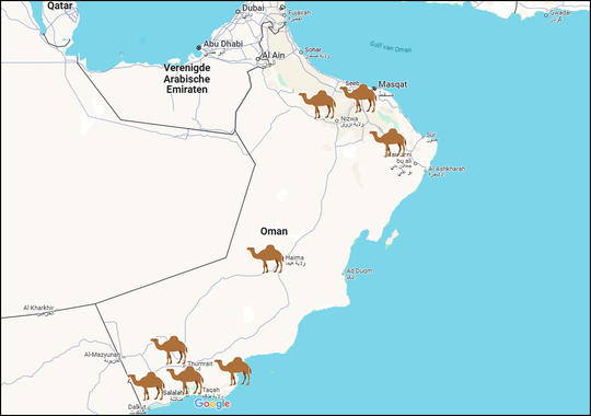 Dromedary camels indicating the places we visited during our trip.