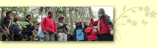 Individuelle Kräuterwanderung mit Celia Nentwig