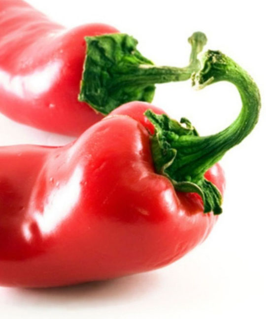 Chilli pepper Pharmacognosy Medicinal Plants