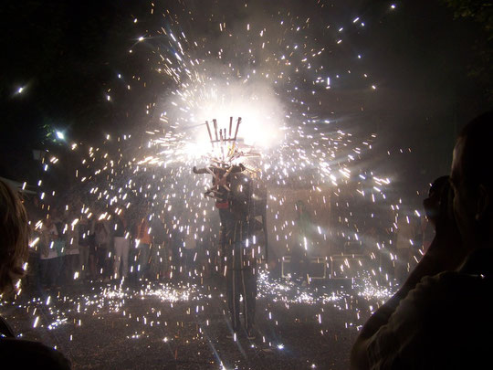 Toro de Fuego