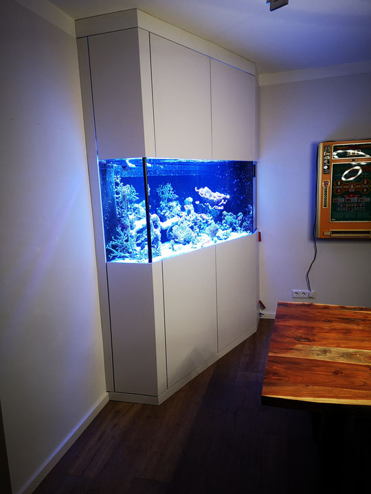 salzwasseraquarium, meerwasserquarium