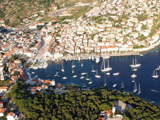 Aerial view of the harbour