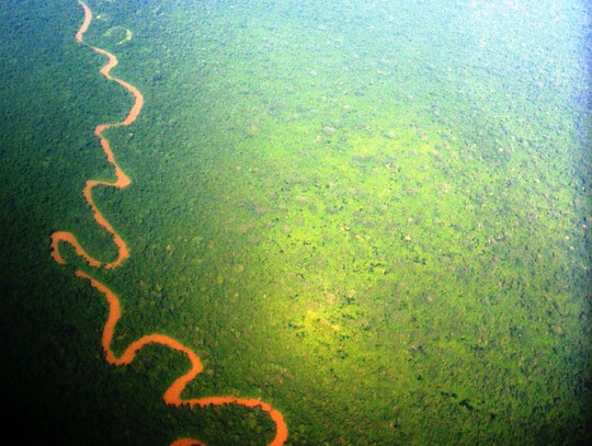 Ein typischer Nebenfluss des Amazonas