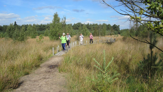 Nordic Walking achter de duinen