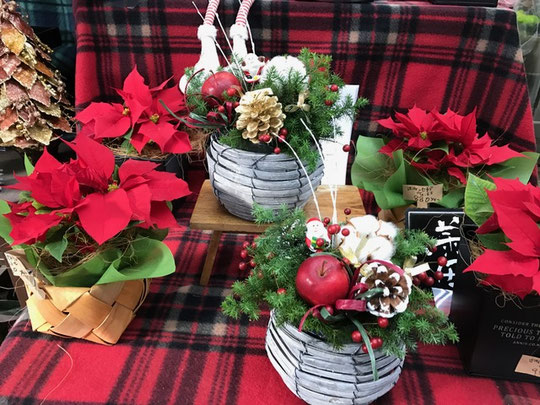 ポインセチア【花屋まるよし】