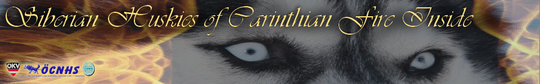 Siberian Huskies of Carinthian Fire Inside