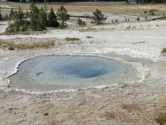Beauty Pool (Yellowstone N.P.)