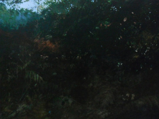 Evening, acrylic on canvas, 98 x 73 cms, 2012