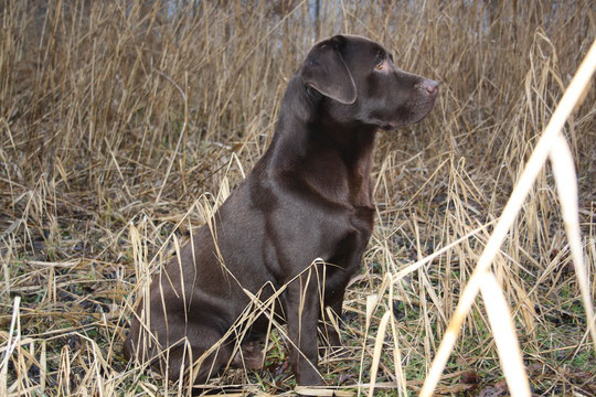 Moritz im Januar 2011