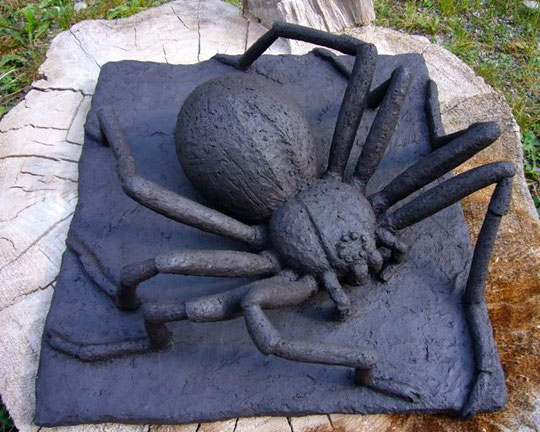 spinne