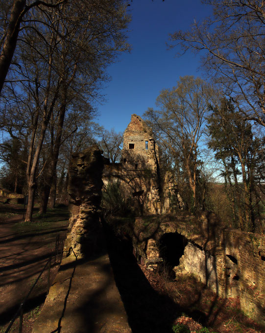 Klosterruine Disibodenberg