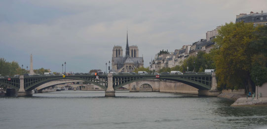 les beautés de Paris, les ponts, la cathédrale, les remarquables immeubles