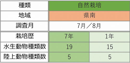 表-3　確認された自然栽培での年数の違いによる確認種類数